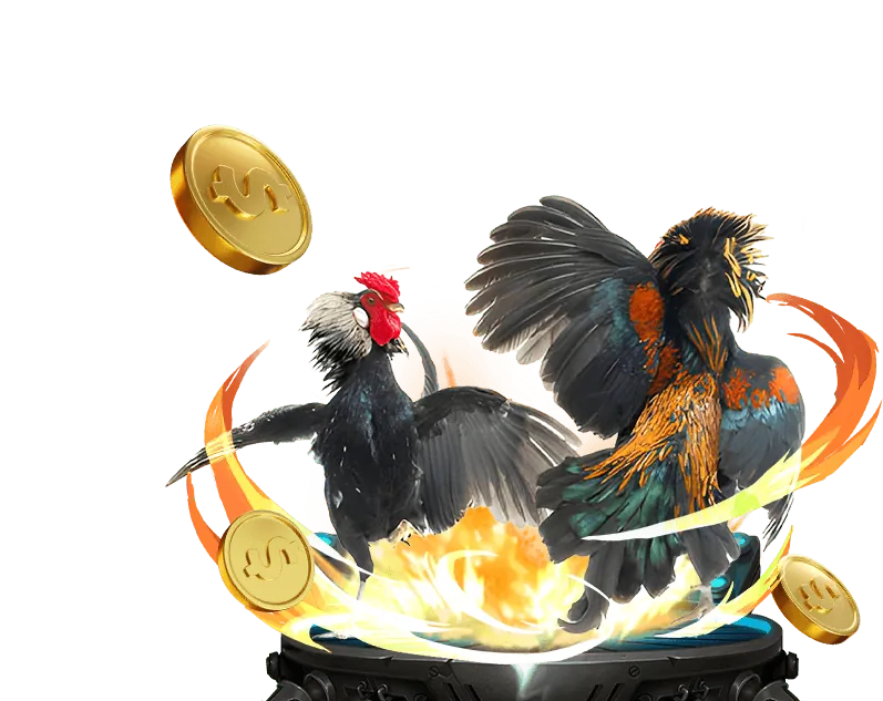 Quy tắc trò chơi f1686 game